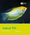 Tropical Fish - Pet Friendly cover