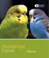 Budgeriegars - Pet Friendly cover