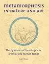 Metamorphosis in Nature and Art cover