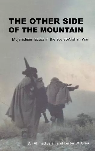 The Other Side of the Mountain cover