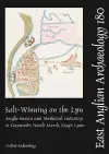 EAA 180: Salt-Winning on the Lyn cover