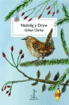 Nadolig y Dryw (The Christmas Wren) cover