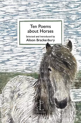 Ten Poems about Horses cover