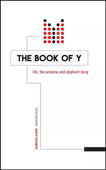 The Book of Y cover