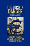 The Euro In Danger cover