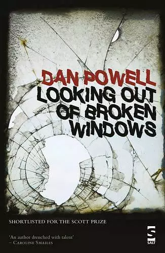 Looking Out Of Broken Windows cover
