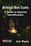 British Bat Calls cover