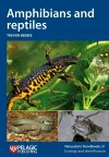 Amphibians and reptiles cover