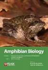 Amphibian Biology, Volume 11, Part 3 cover