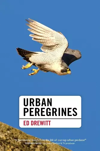 Urban Peregrines cover