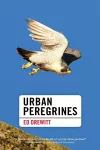 Urban Peregrines cover