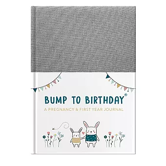 Bump to Birthday cover
