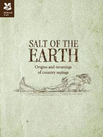 Salt of the Earth cover
