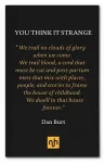 You Think it Strange cover