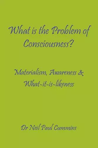 What is the Problem of Consciousness? cover