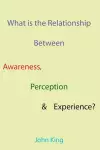 What is the Relationship Between Awareness, Perception & Experience? cover