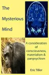 The Mysterious Mind cover