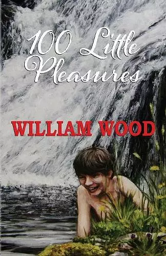 100 Little Pleasures cover