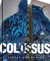 Colossus. Street Art Europe cover