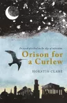 Orison for a Curlew cover