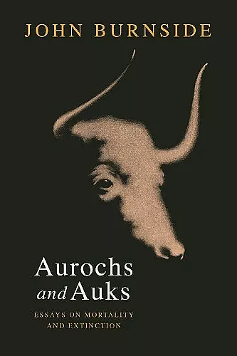 Aurochs and Auks cover