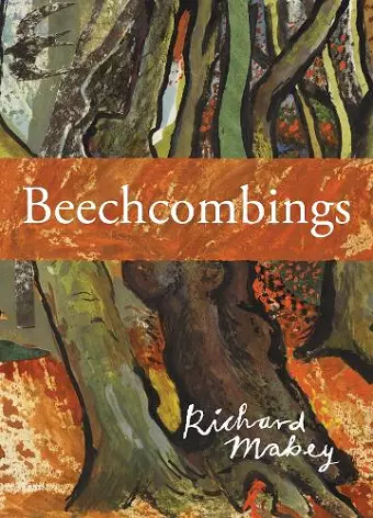 Beechcombings cover