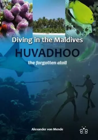 Diving in the Maldives cover