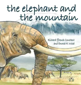 The Elephant and the Mountain cover