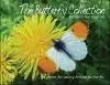 The Butterfly Collection cover