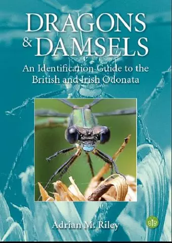 Dragons and Damsels cover