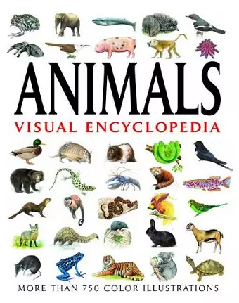 Animals Visual Encyclopedia cover