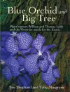 Blue Orchid and Big Tree cover