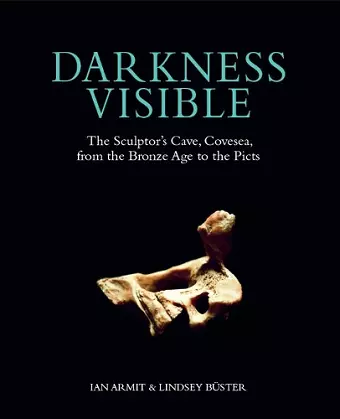 Darkness Visible cover