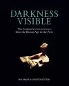 Darkness Visible cover