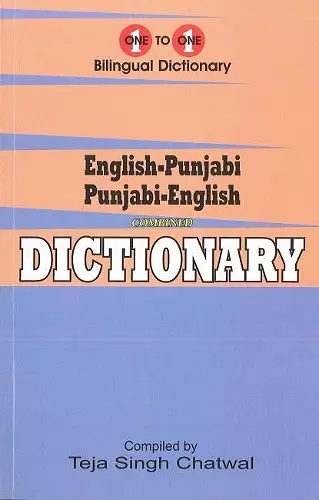 English-Punjabi & Punjabi-English One-to-One Dictionary. Exam Suitable: Script & Roman cover