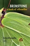Brimstone: A Book of Villanelles cover
