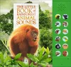 The Little Book of Rainforest Animal Sounds cover