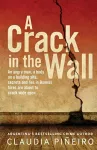 A Crack in the Wall cover