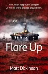 Flare Up cover