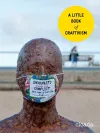 A Little Book of Craftivism cover