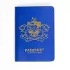 Passport cover