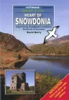 Walks in the Heart of Snowdonia cover