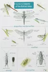 Guide to Insects of the British Isles cover