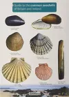 Guide to the Common Seashells of Britain and Ireland cover