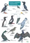 Guide to Summer Coastal Birds cover