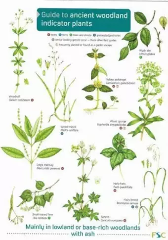 Guide to Ancient Woodland Indicator Plants cover