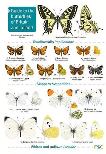 Guide to the butterflies of Britain and Ireland cover