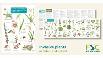 Guide to the non-native invasive plants of Britain and Ireland cover