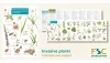 Guide to the non-native invasive plants of Britain and Ireland cover
