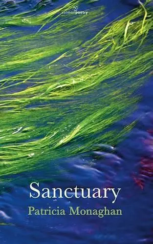 Sanctuary cover